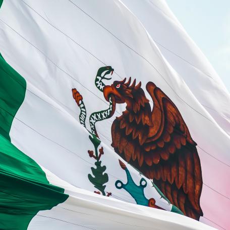 Mexican Flag